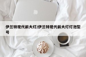 伊兰特现代前大灯/伊兰特现代前大灯灯泡型号