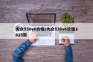 大众530v6价格/大众530v6价格2025款