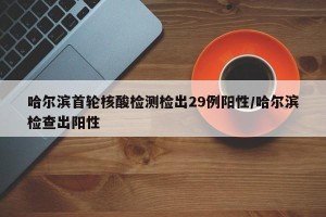 哈尔滨首轮核酸检测检出29例阳性/哈尔滨检查出阳性