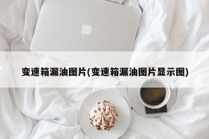 变速箱漏油图片(变速箱漏油图片显示图)
