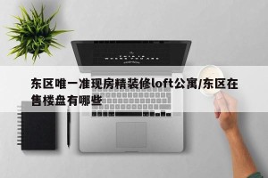 东区唯一准现房精装修loft公寓/东区在售楼盘有哪些