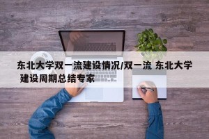 东北大学双一流建设情况/双一流 东北大学 建设周期总结专家