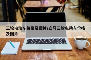 三轮电动车价格及图片/立马三轮电动车价格及图片