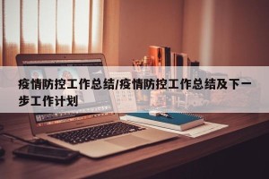 疫情防控工作总结/疫情防控工作总结及下一步工作计划